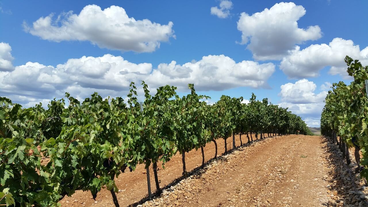 Heritagewine-16