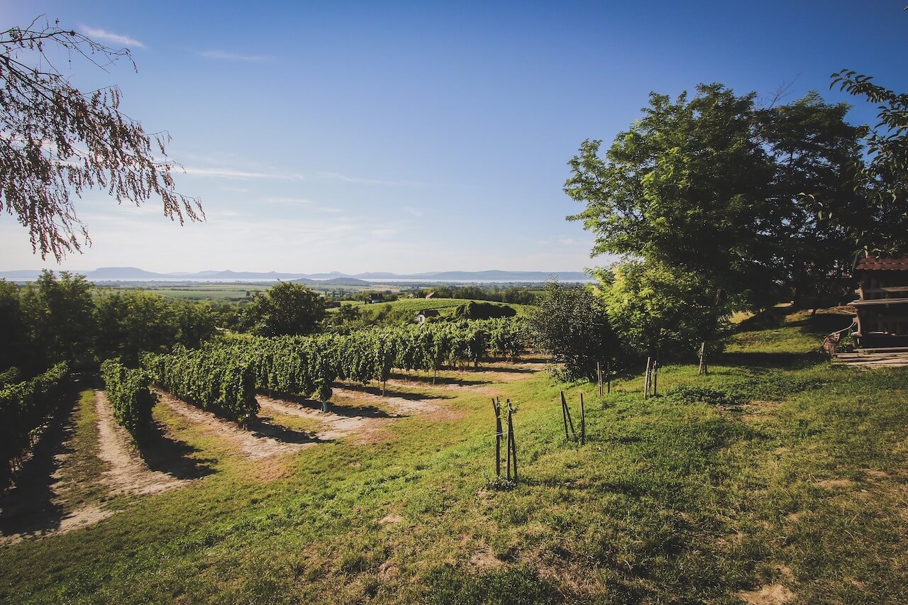 Heritagewine.20